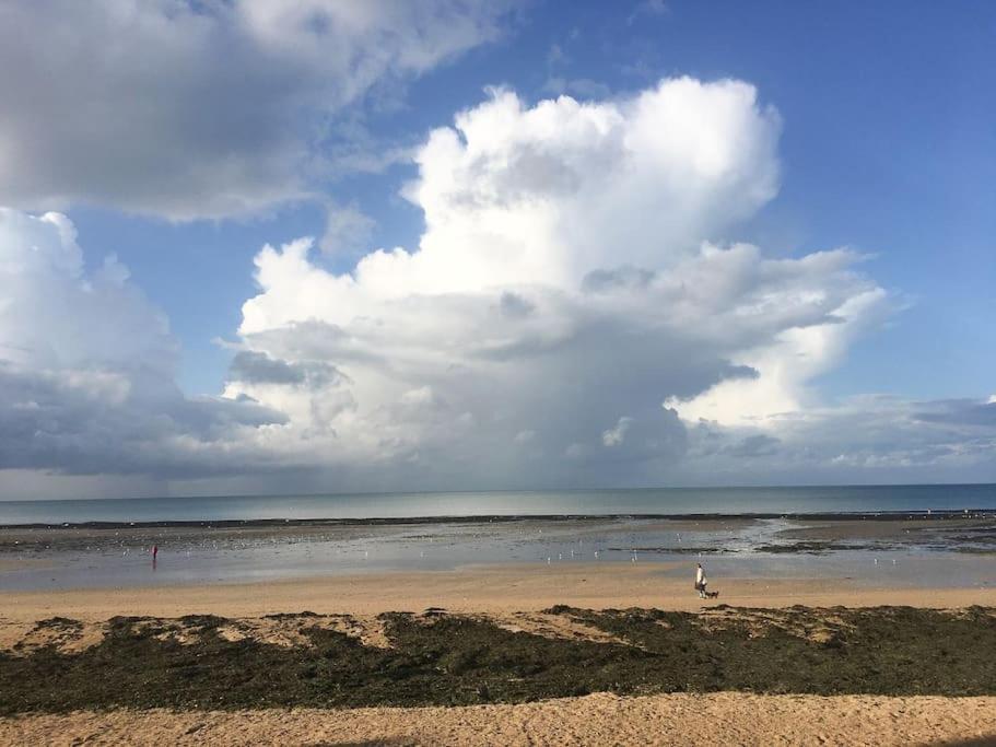 Apartament La Baleine Bleue Saint-Aubin-Sur-Mer  Zewnętrze zdjęcie